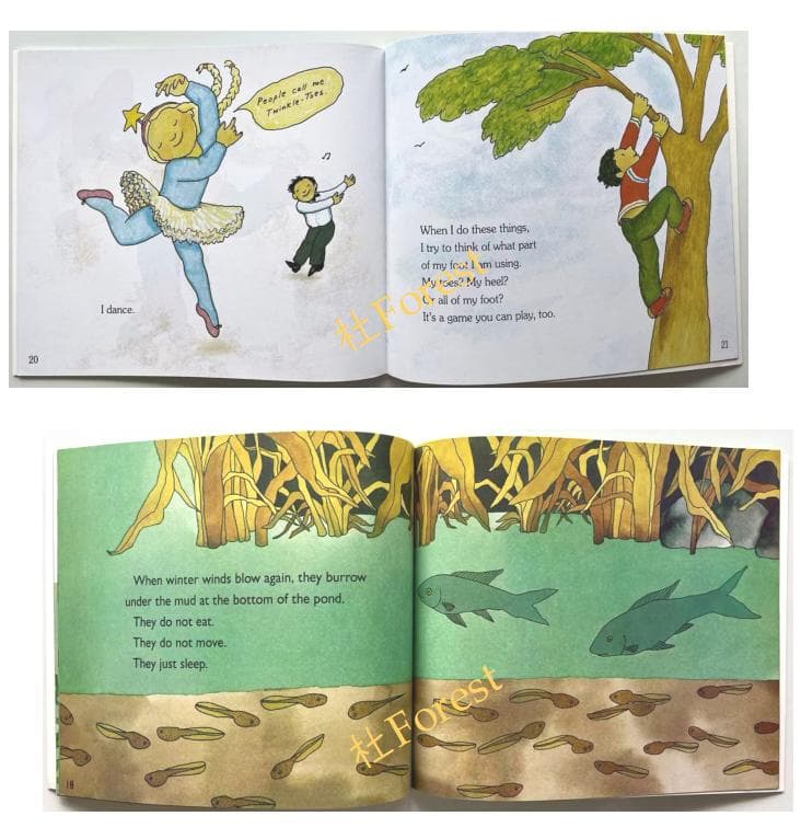 新品 Let's Read and Find Out Science 44冊