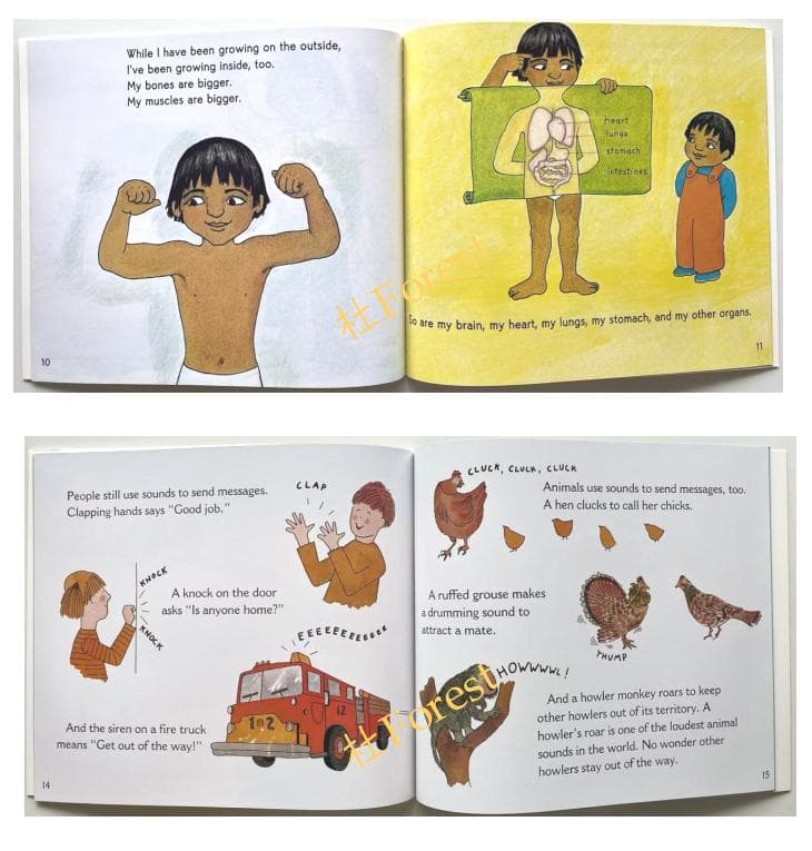 新品 Let's Read and Find Out Science 44冊