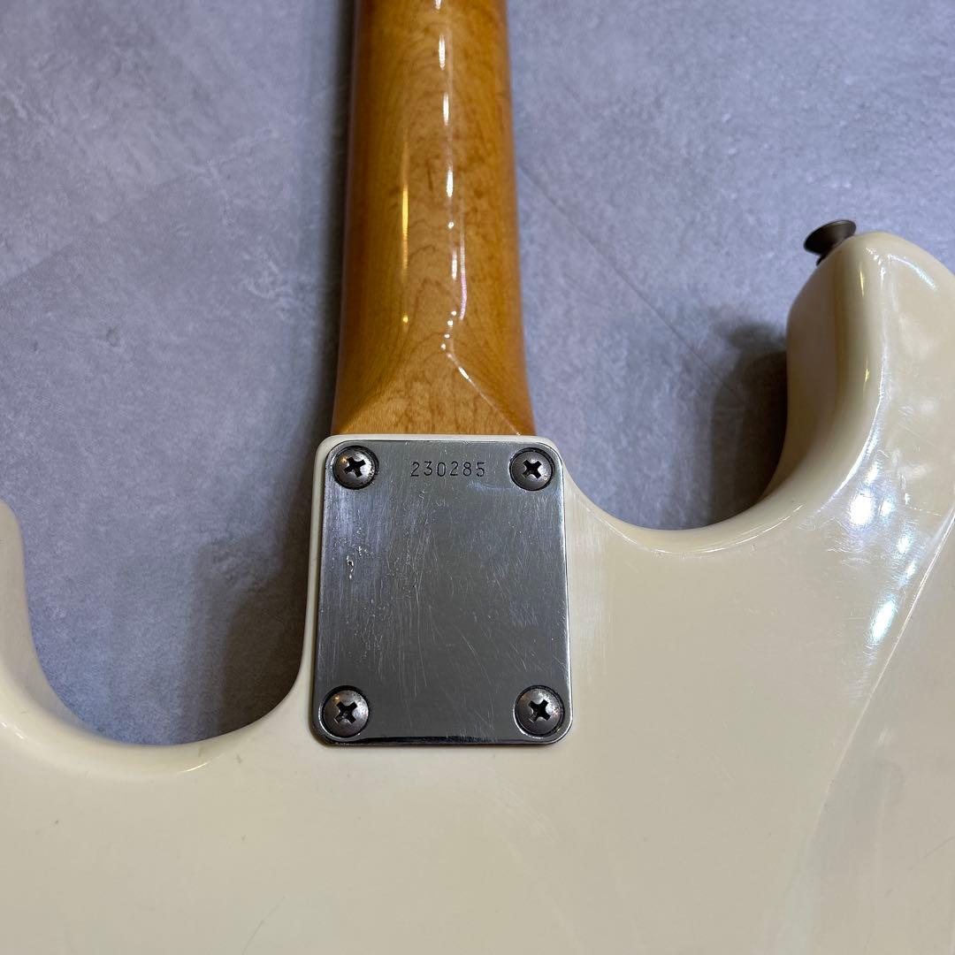 本日限定価格Tokai GOLDSTAR SOUND AST