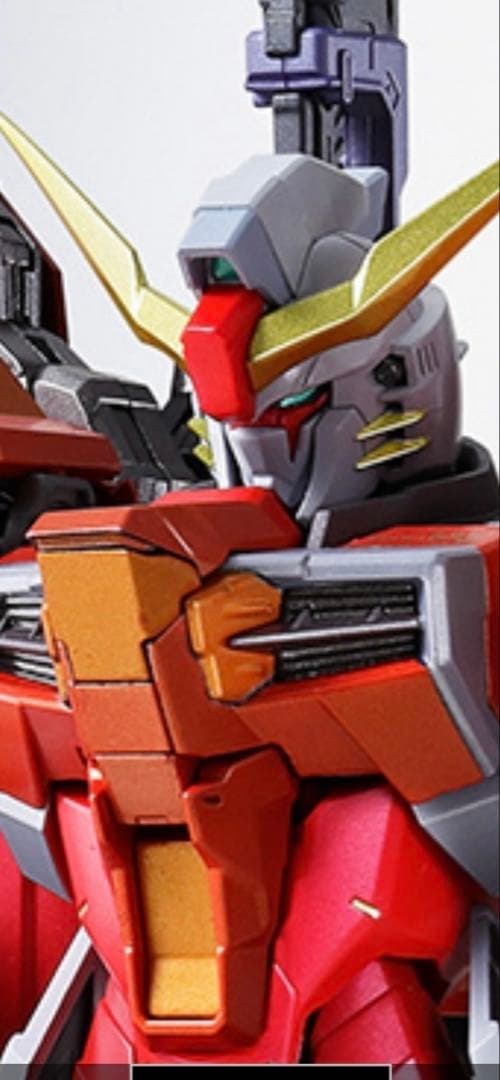 LBUILD デスティニーガンダムハイネ機　2015魂ウェブ限定品