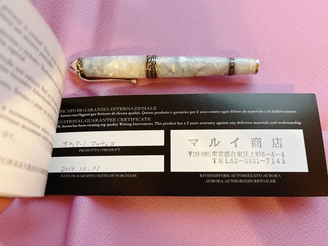 ☆説明確認の上購入してください☆アウロラ 万年筆 オチェアーノ アルティコ F