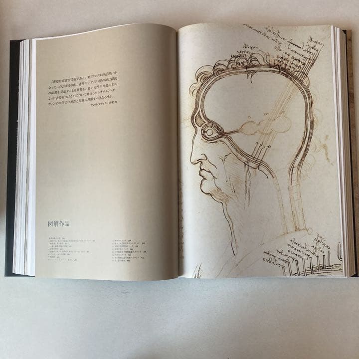 レオナルド・ダ・ヴィンチ : 1452-1519年 : 全絵画作品・素描集