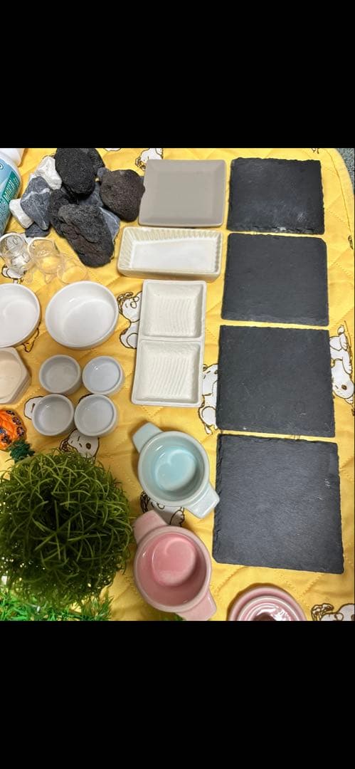 爬虫類・両生類用飼育セットまとめ売り