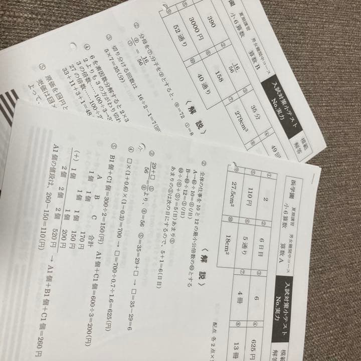 no22503104_【浜学園】小6　算数復習テスト・年間フルセット　おまけ付！