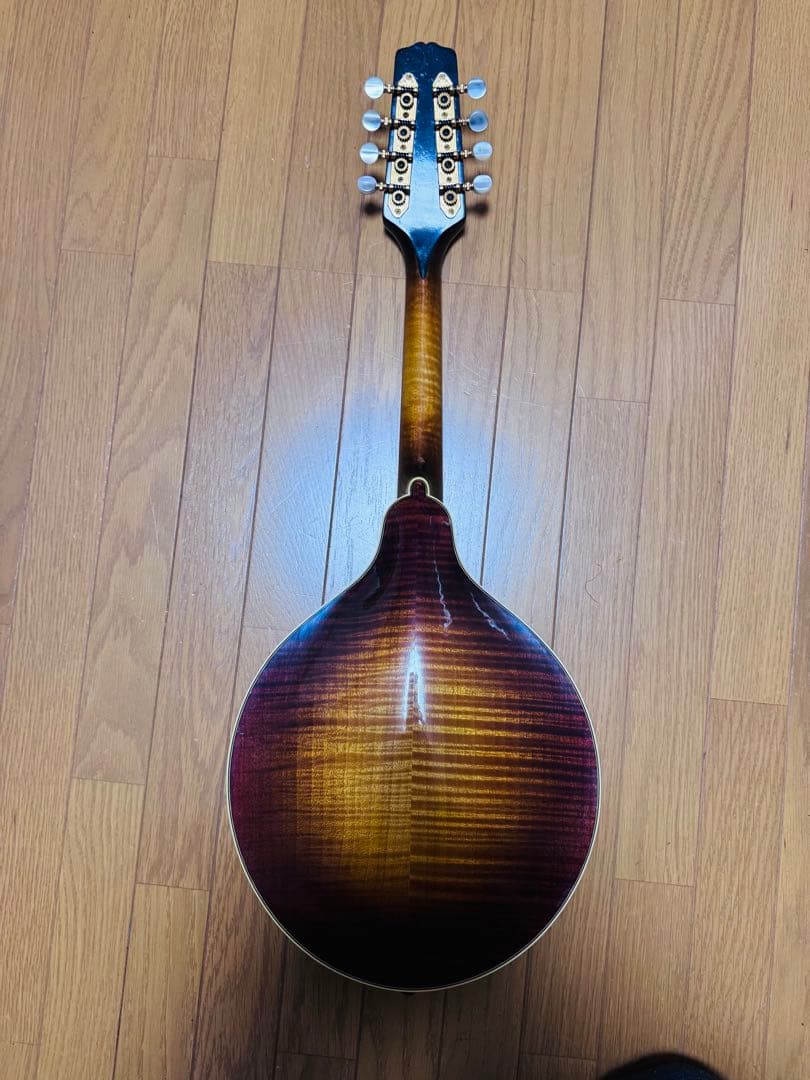 Gibson Mandolin A-5L 1989年