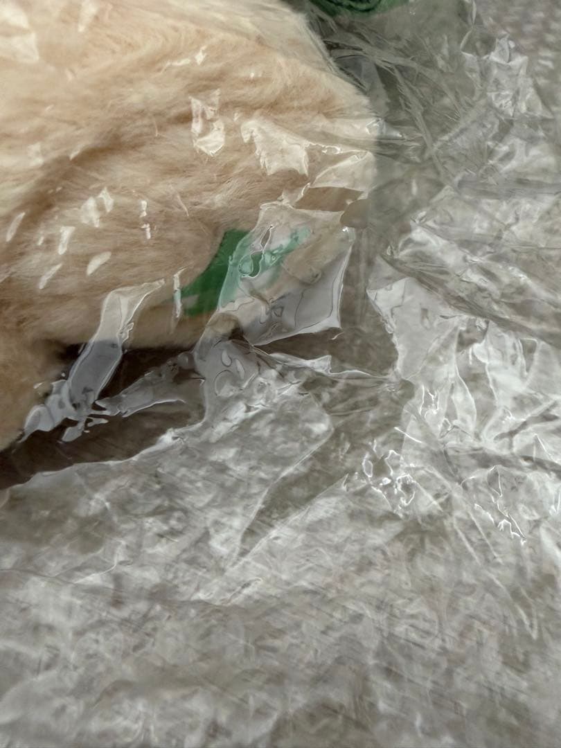 NCT WISH ジェヒ　デントリバー バッグ　ソウルコン　カバン　キャラクター