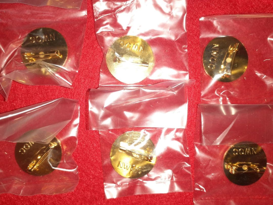 長野オリンピック　招致　ALPS　ピンバッジ　20個まとめ