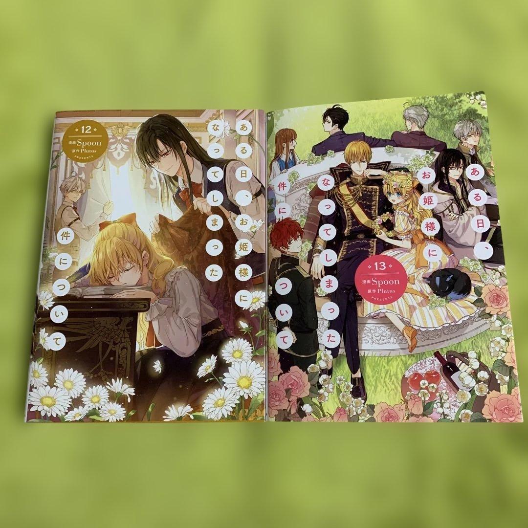 【特典付‼️】ある日、お姫様になってしまった件について 1巻〜13巻 (全巻完結)