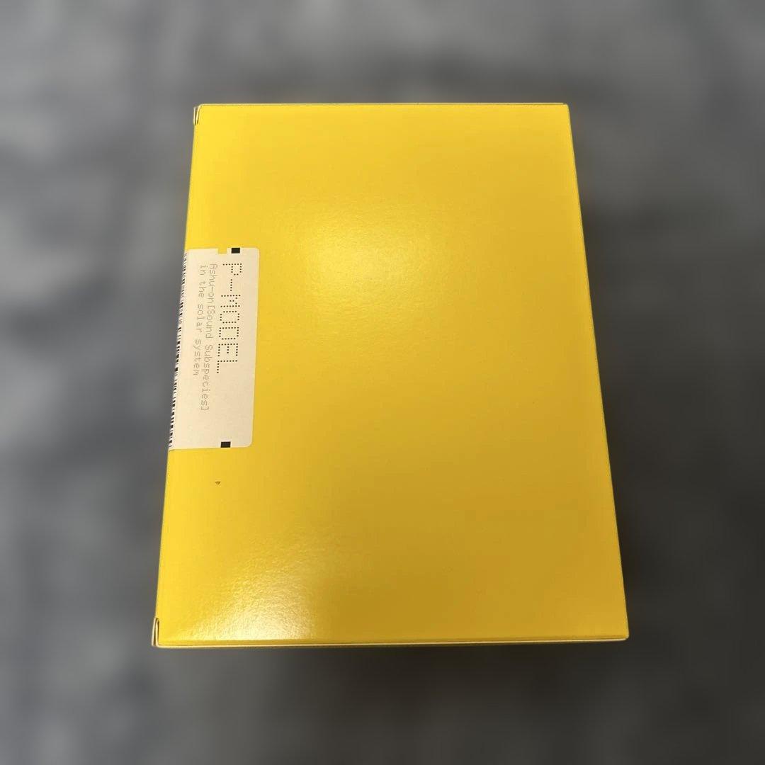 P-MODEL 平沢進　太陽系亞種音(新装版) 会員特典CD付き