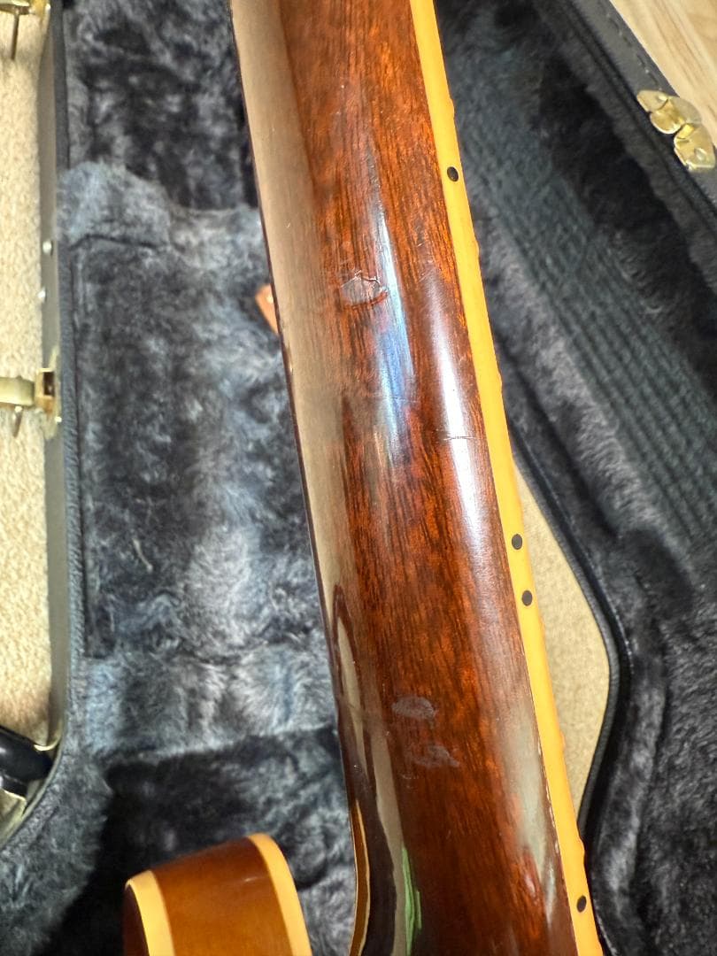 【5Star】Gibson ES-335 BLOCK Exp