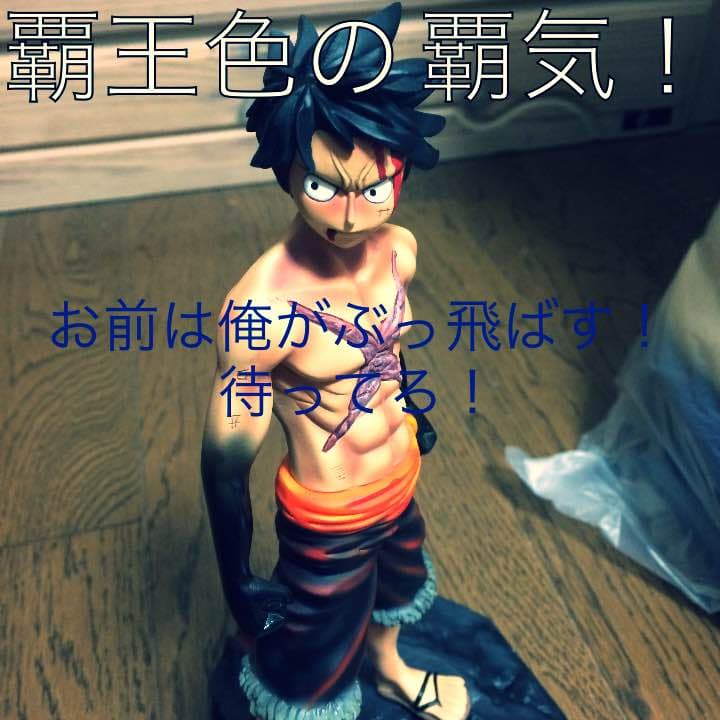 一品物 ワンピース フルスクラッチ作品