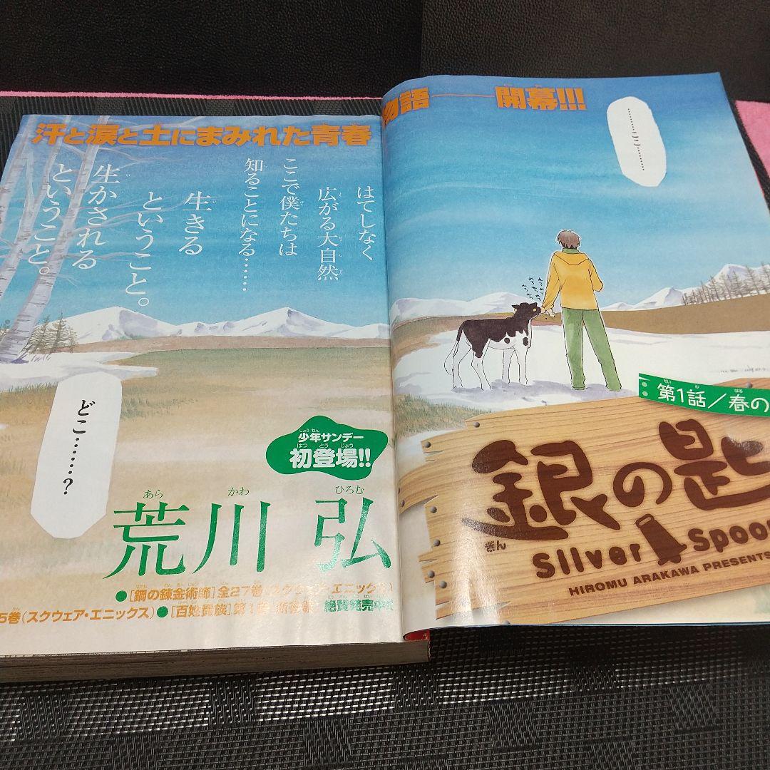 週刊少年サンデー 2011年19号※銀の匙 新連載 荒川弘※クリアファイル未開封