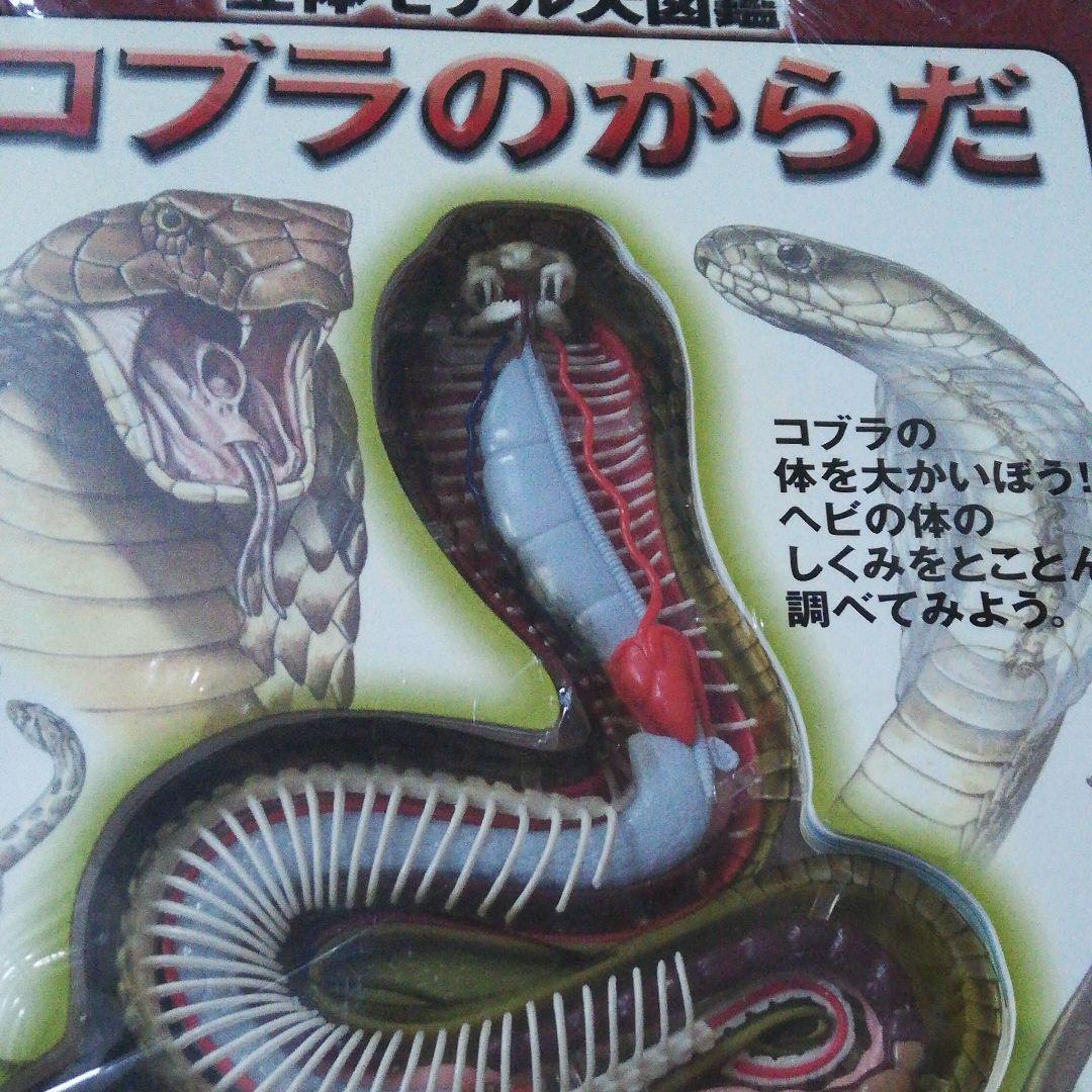 値下げしました。サメのからだ 立体モデル大図鑑 コブラ タランチュラ 3冊セット