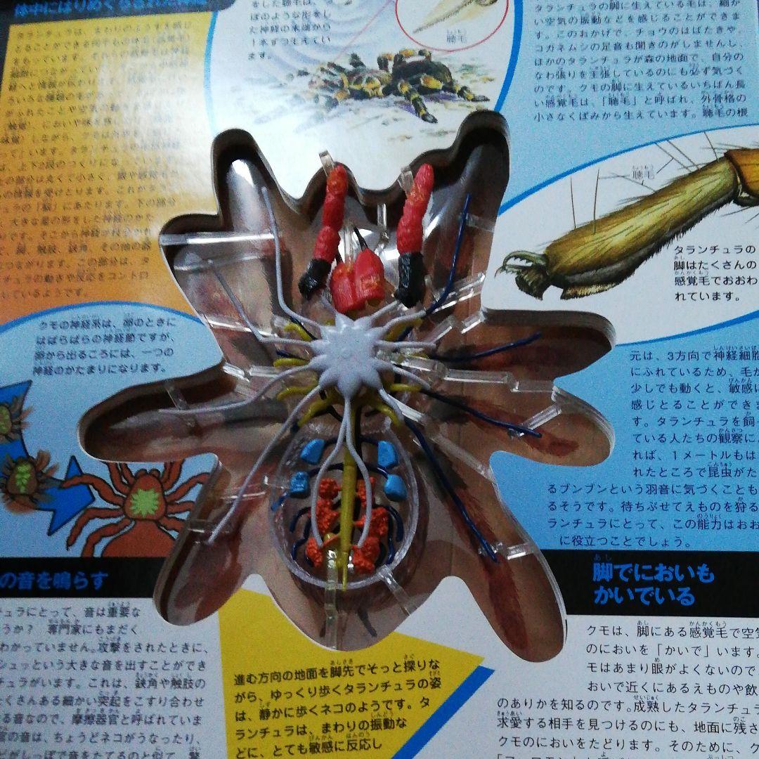 値下げしました。サメのからだ 立体モデル大図鑑 コブラ タランチュラ 3冊セット