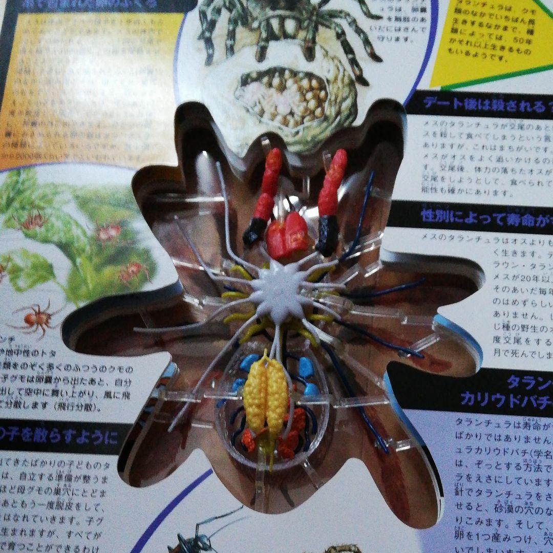 値下げしました。サメのからだ 立体モデル大図鑑 コブラ タランチュラ 3冊セット
