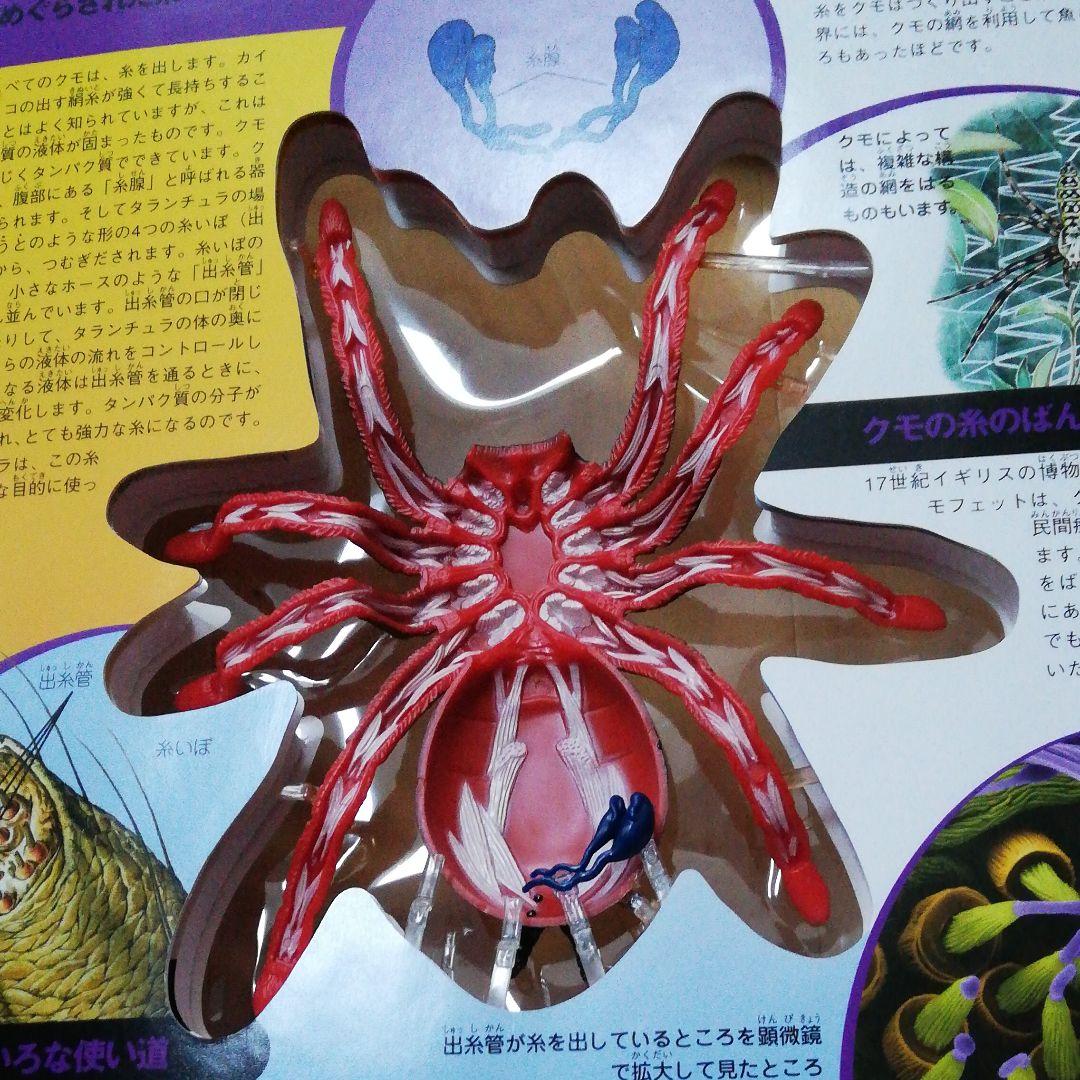 値下げしました。サメのからだ 立体モデル大図鑑 コブラ タランチュラ 3冊セット