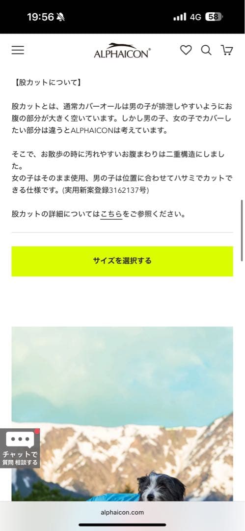 公*o様 ALPHAICON アルファアイコン SDG スノードッグガード 1X