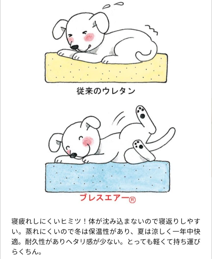 ペピイ　フィーヌエアマット　Lサイズ（シニア犬に快適）