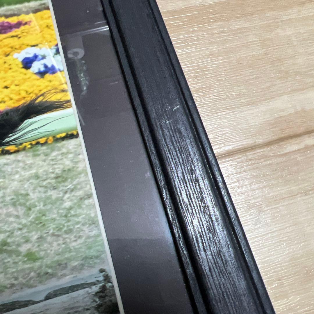 藤田菜七子騎手×サニーデイズ 額装写真パネル