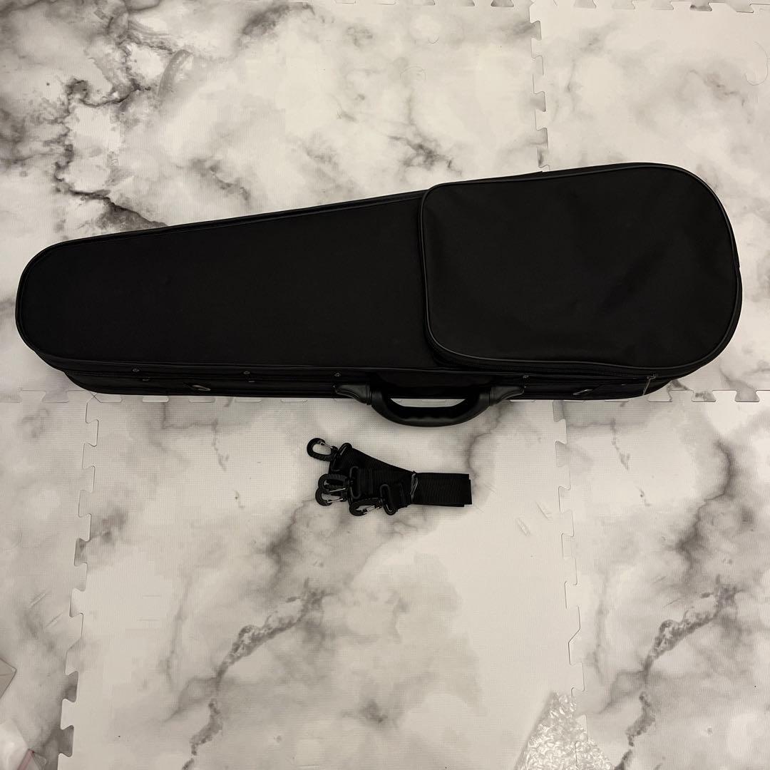 CARLO GIORDANO/VS-2 4/4サイズ　バイオリン