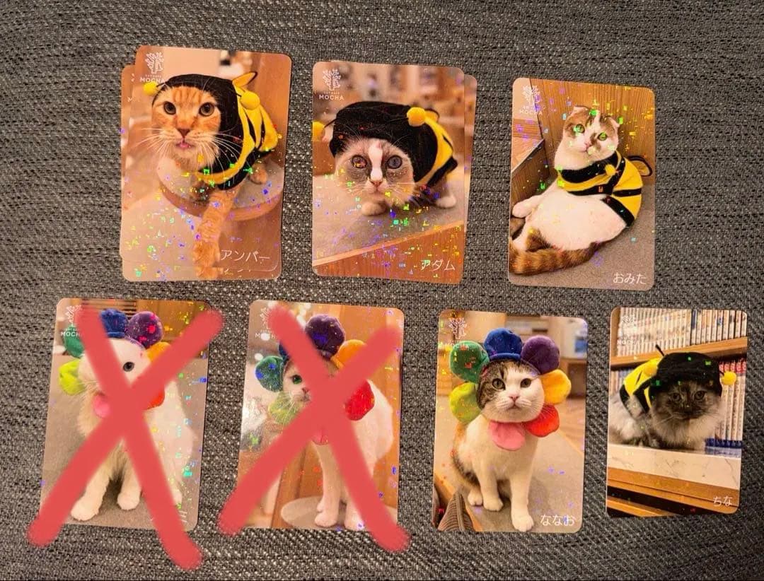 【バラ売り可】にゃんずトレカ甲府昭和店 2024