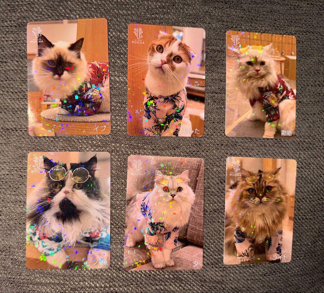 【バラ売り可】にゃんずトレカ甲府昭和店 2024