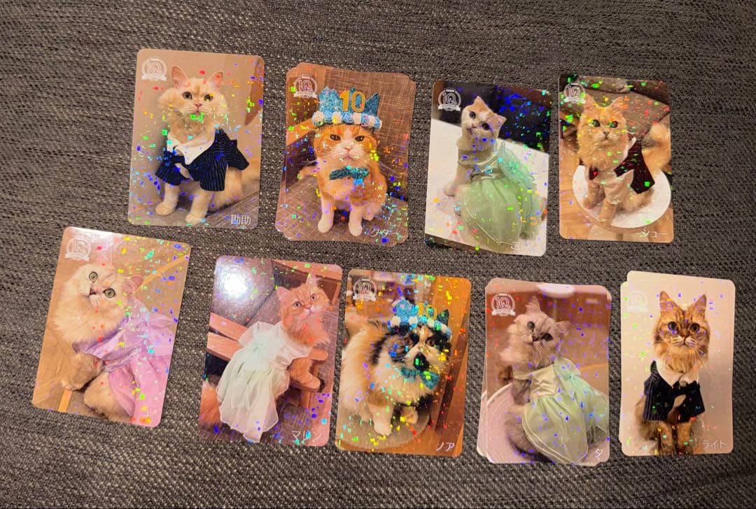 【バラ売り可】にゃんずトレカ甲府昭和店 2024