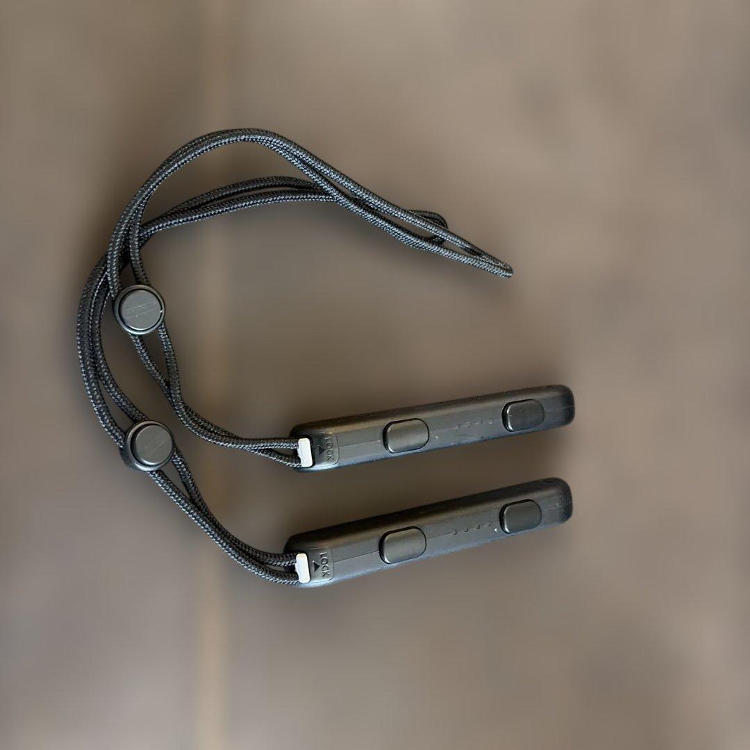 Nintendo Switch 通常版 本体一式＋SDカード256GB、ケース