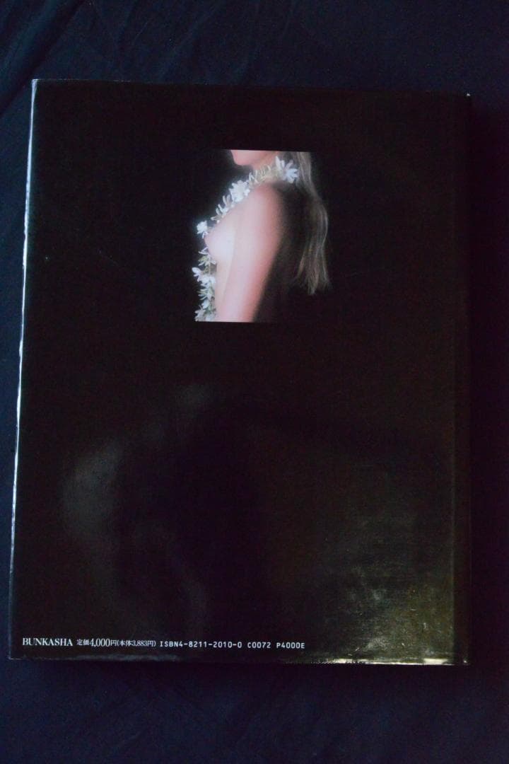 Hamilton Pictures: David Hamilton値下げしました