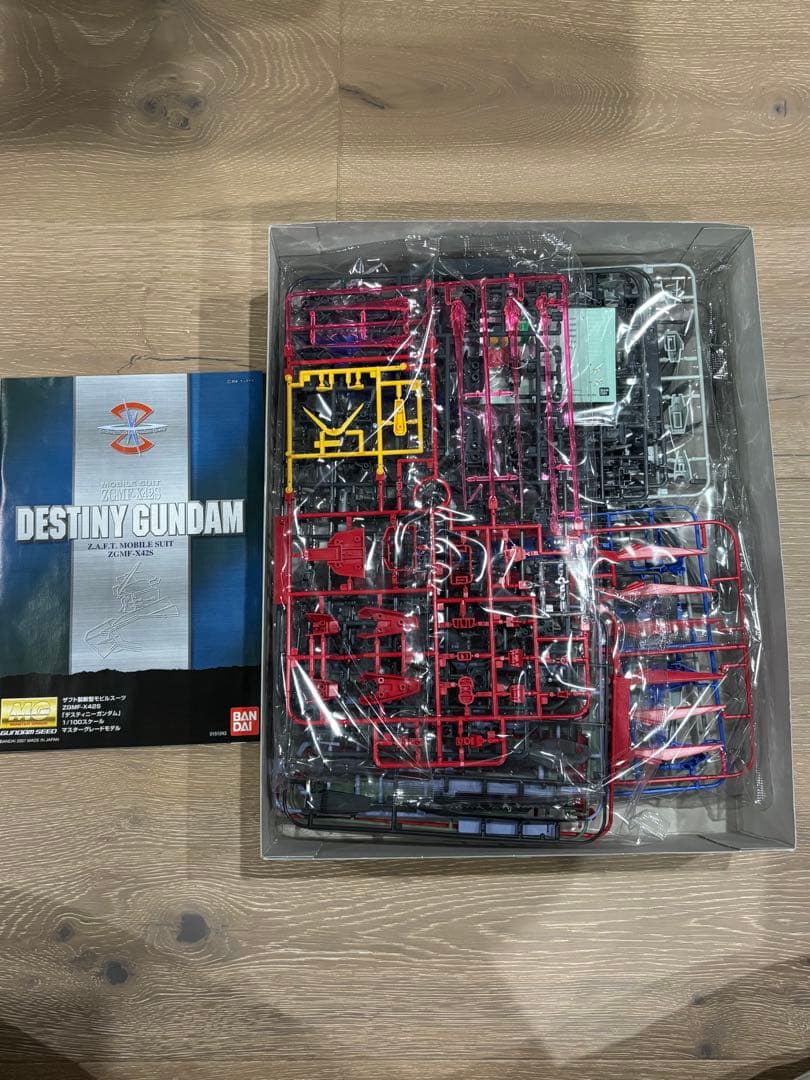 MG デスティニーガンダム