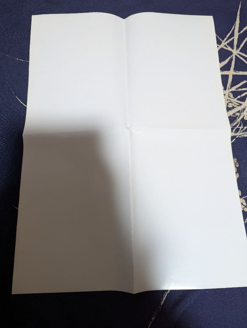 【レア】　ダンガンロンパ　ダンロン　ポスター　武内崇　TYPE-MOON　1点