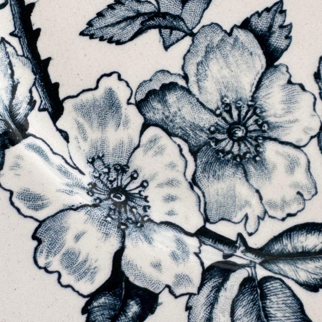 フランスアンティーク　クレイユモントロー　ローザ　 Creil 平皿