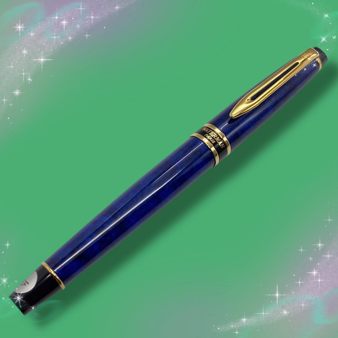 《おそらく未使用》 ウォーターマン 万年筆 エキスパートエッセンシャル