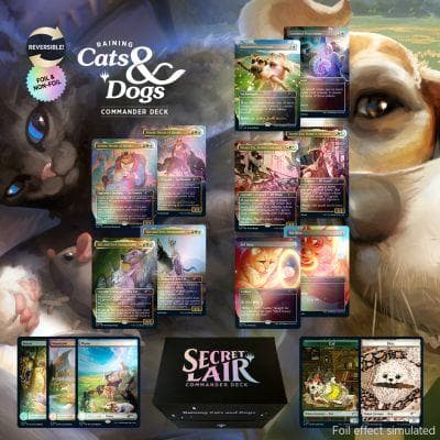 Commander Deck: Raining Cats and Dogs未開封