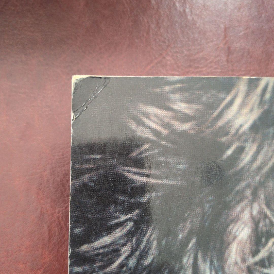 Wolfgang Tillmans 2冊