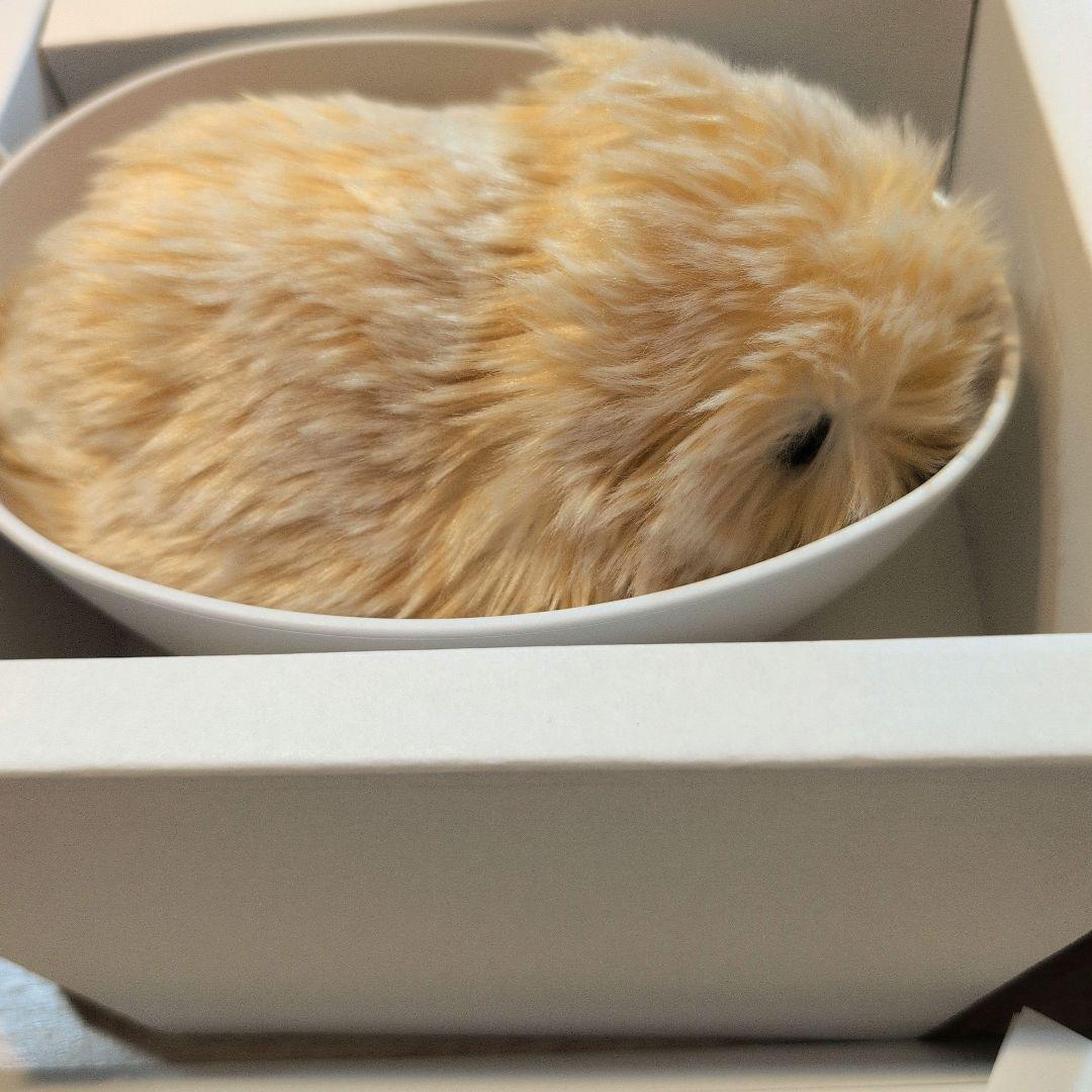 モフリン ゴールド 美品