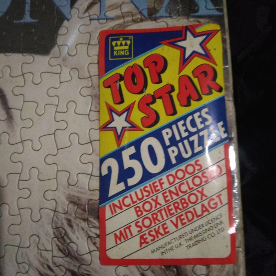 MADONNA 250ピースパズル 未開封