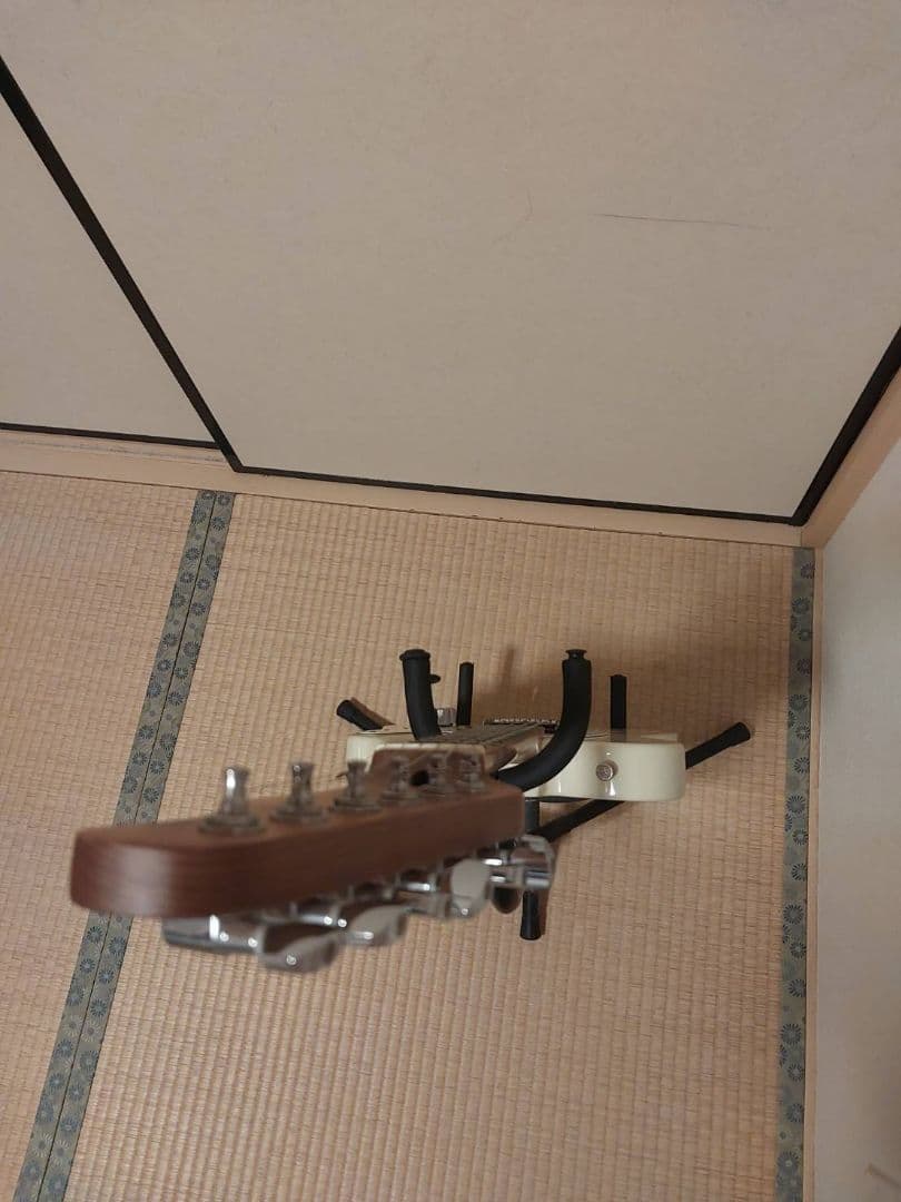 エレキギター Bacchus BTE-2-RSM/M OWH