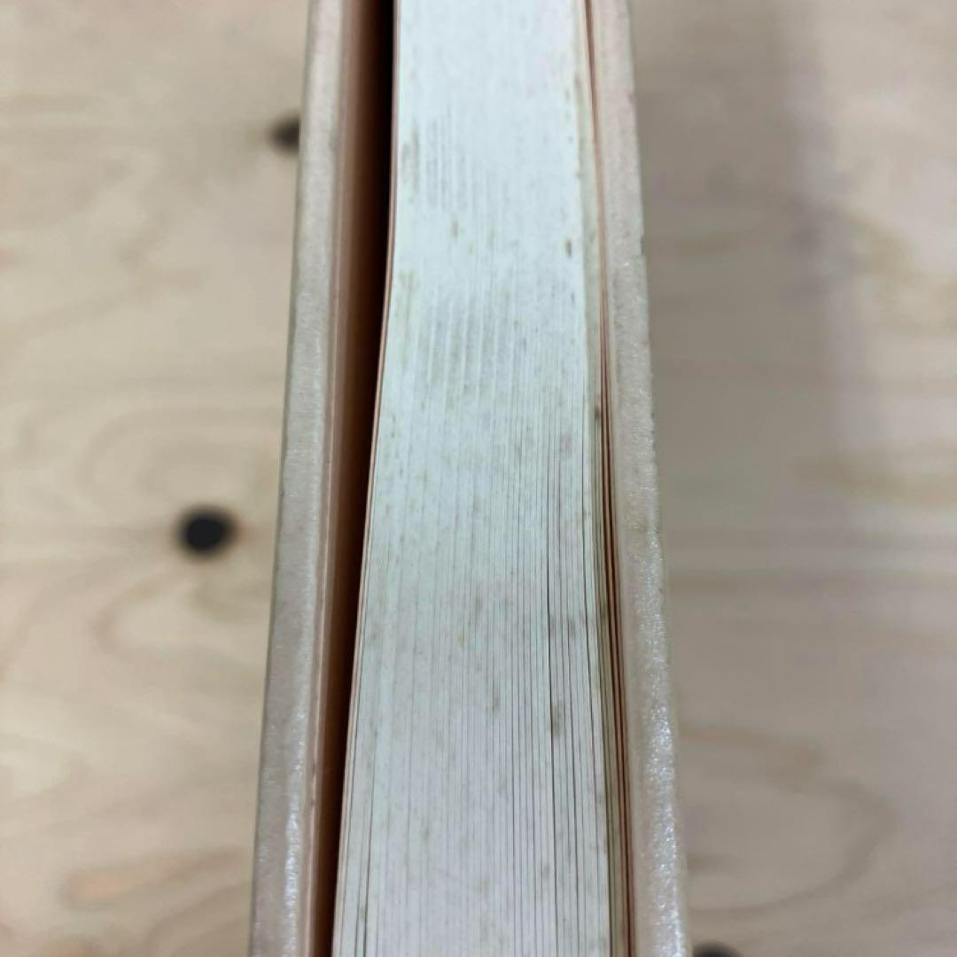 arakakiさま専用okinawan portraitsと絶景のポリフォニー