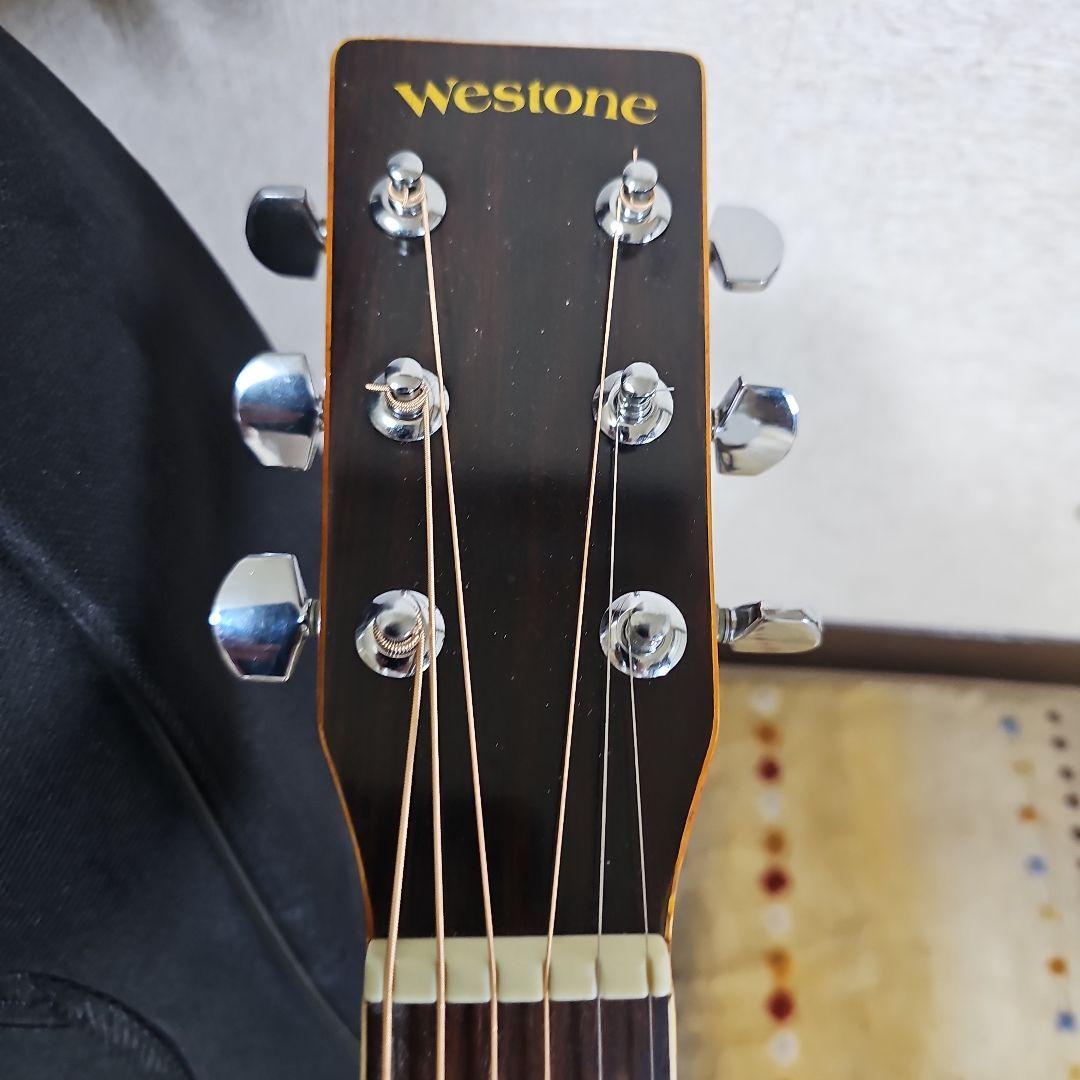 Westone.W-40ハカランダ キグバック付き。