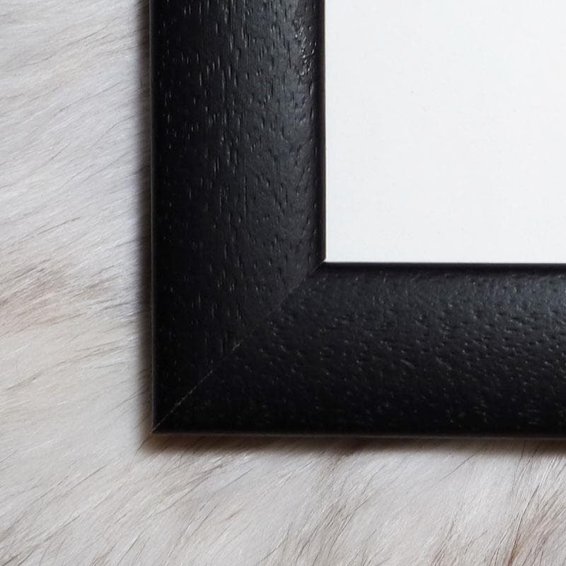 額装品/ジャズポートレートハーレム　1958年（アート ケーン）