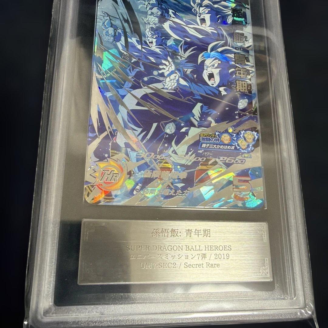 ARS10 UM7-SEC2 孫悟飯 青年期