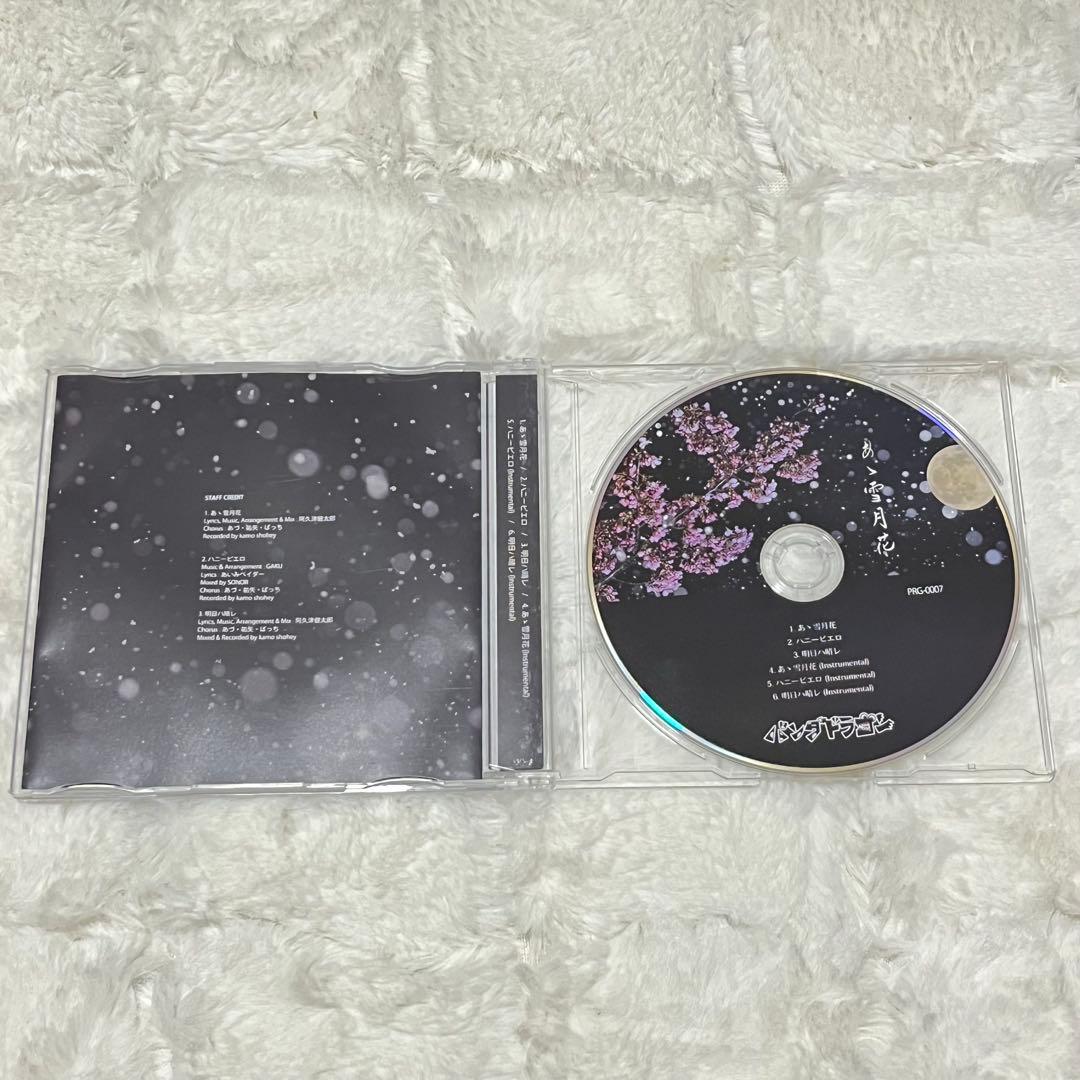 パンダドラゴン パラゴン CD+DVDセット