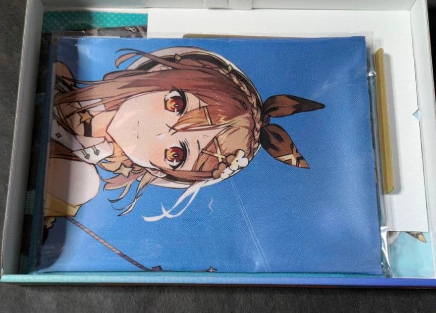 Switch ライザのアトリエ プレミアムボックス 限定版 3セット