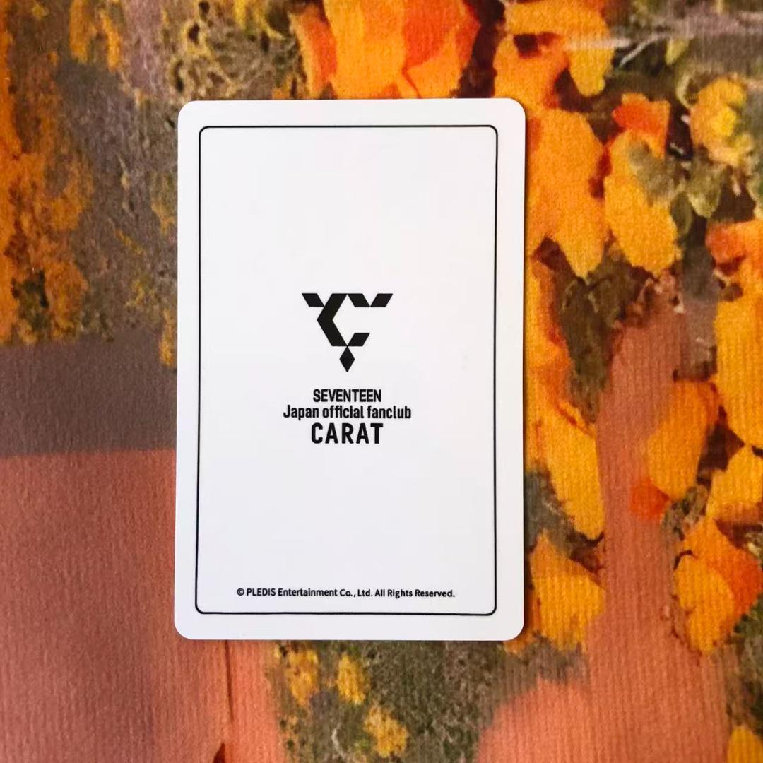 SEVENTEEN MY BEST 投票企画 当選 FC限定 ミンハオ トレカ