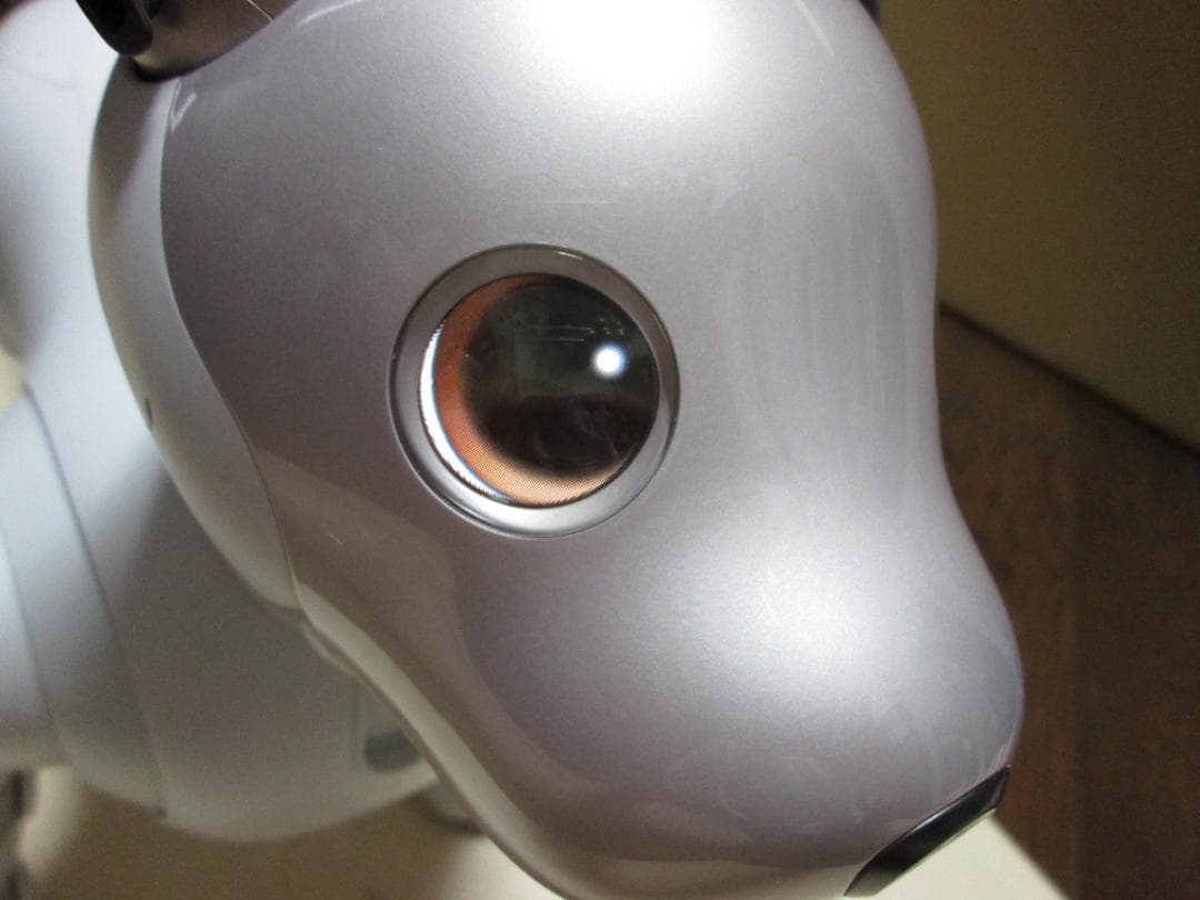 ソニー アイボ aibo 犬 ペットロボット ERS-1000 ホワイト【中古】