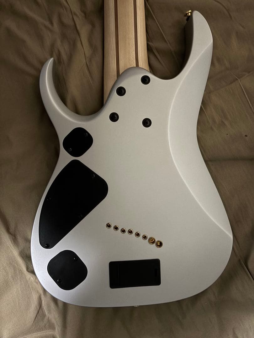 Ibanez RGDMS8 8弦エレキギター