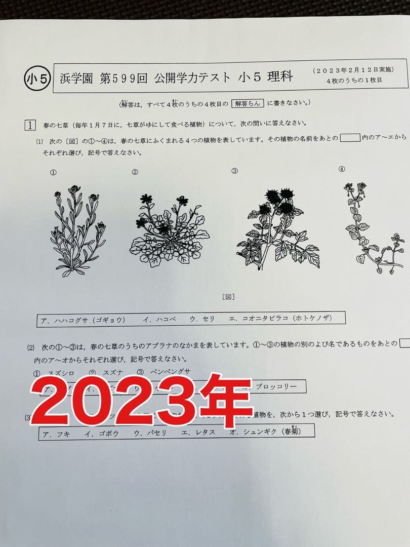 3浜学園　小5  2023年度　公開学力テスト 4科目　成績資料付き