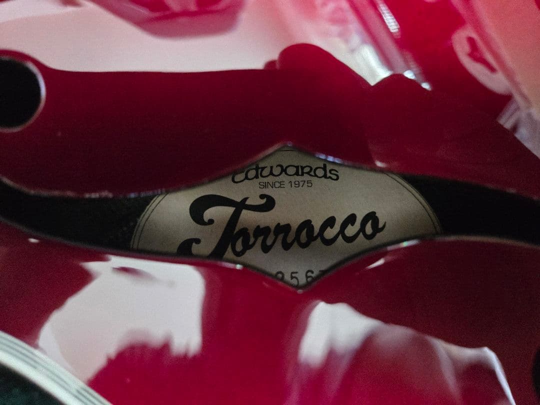 【美品】ESP EDWARDS E-TORROCCO-CTM セミアコ