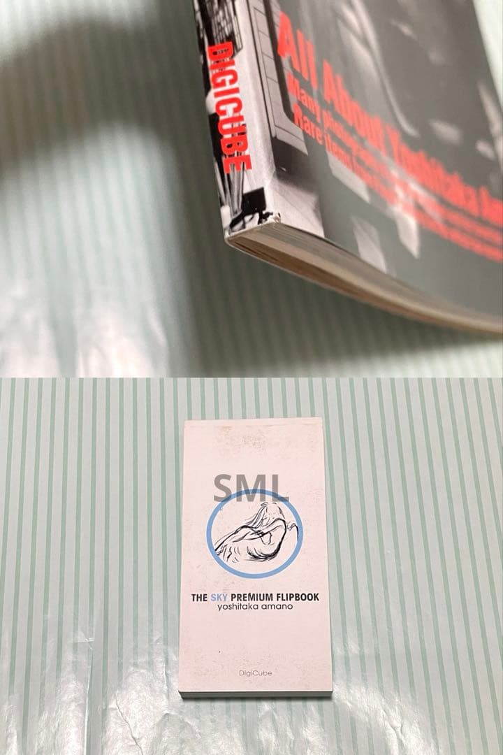 天野喜孝 空 THE ART OF FINAL FANTASY The SKY